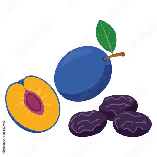 Fresh and dried plums icon set vector illustration isolated on white background ideal for prune plum design whole and half fruit illustration project