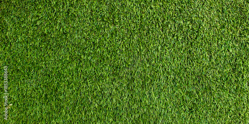 Close up of synthetic green grass texture