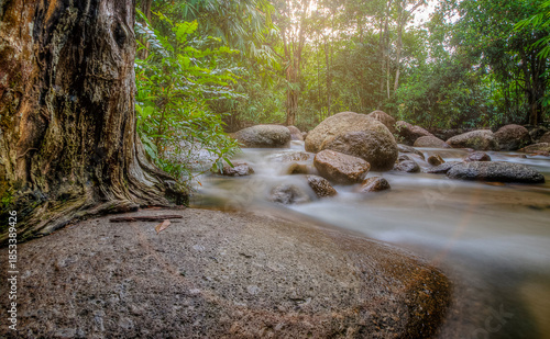 Long Exposure of Serene River Flowing Over Rocks in Forest.