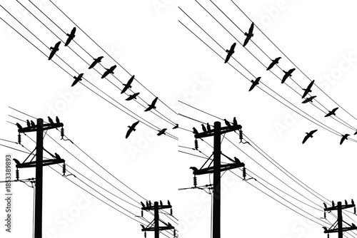Utility pole silhouette, birds on power lines, musical metaphor vector, black and white urban harmony illustration, creative infrastructure concept art