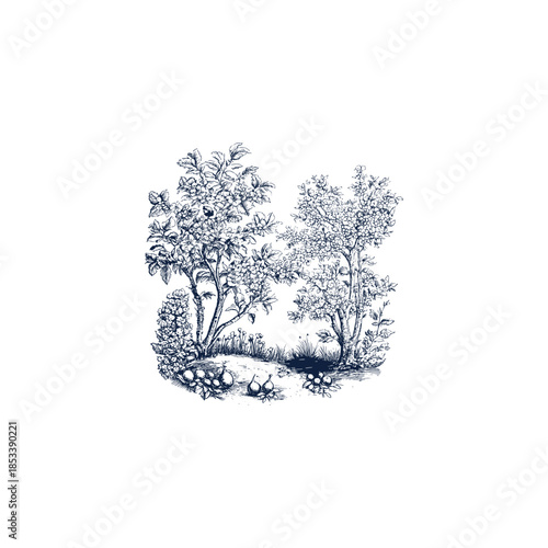 Vintage hand drawn botanical illustration of fruit trees and blooming garden plants in an orchard