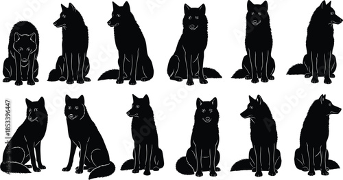Black wolf silhouette set illustration sitting poses wild animal canine collection vector isolated white background minimal design nature wildlife art