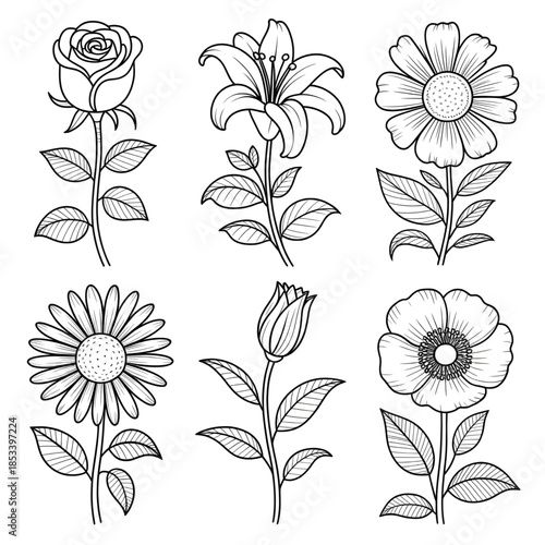 set of flowers coloring page line art