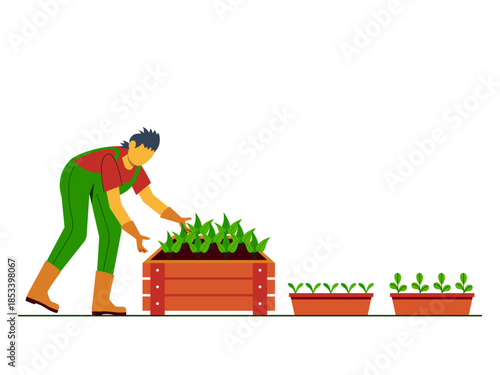 Man person in gardening tending to young plants in a raised garden bed and smaller pots. Urban farming vector illustration. Flat illustration concept.