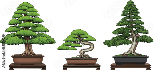 Bonsai tree collection, Japanese bonsai art, miniature trees, traditional gardening, zen decor, nature illustration, potted bonsai plants, white background