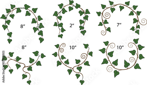 Decorative ivy vine illustration set, green leafy branch frames collection, botanical design elements, natural foliage ornament graphics