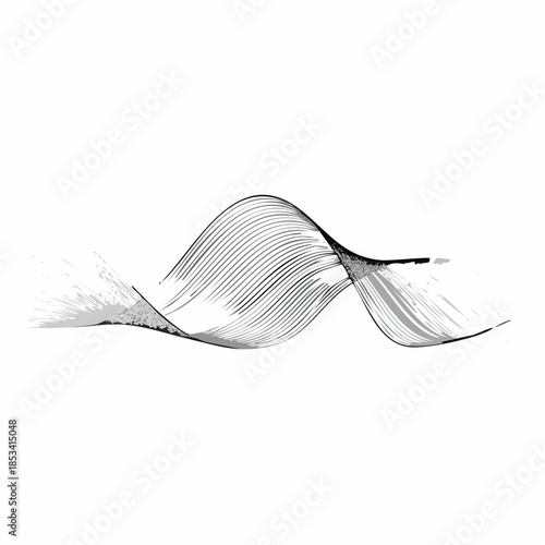 Illustration vectorielle de courbes ondulées, motif abstrait en lignes noires. Le design évoque des ondes sinusoïdales, des vibrations ou des fonctions mathématiques paramétriques, noir
