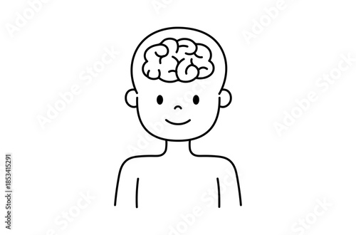 脳のイラスト
