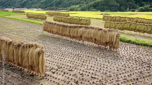 日本の田舎の風景　収穫後の田んぼと里山