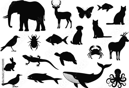 a collection of diverse animal silhouettes including elephants deer fish cats birds insects and marine creatures in black high quality professional