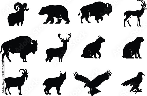 A collection of black silhouette illustrations depicts various wild animals including bison bears deer eagles and mountain goats against a white background