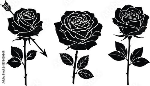 A striking black and white illustration depicts three elegant roses one pierced by an arrow symbolizing love beauty and perhaps a touch of sorrow
