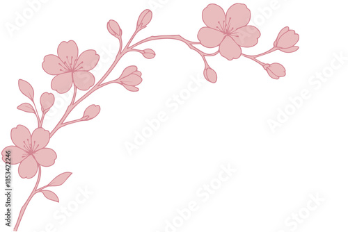 Delicate white sakura flower outlines decorate a pink background in this vector, delivering a peaceful, romantic, and minimalist floral ambiance enriched with graceful seasonal charm.