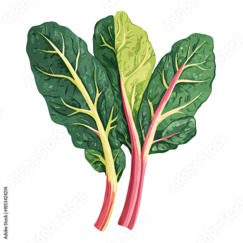 Vibrant Swiss Chard Leaves with Colorful Stems 1.