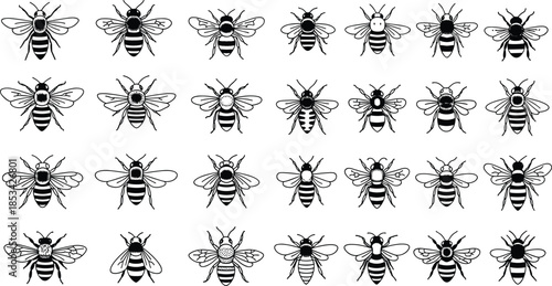 Large Set of Hand Drawn Vector Honey Bees and Insects in Black and White Outline Style