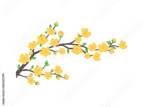 Illustration of a blooming yellow flower branch on a white background.