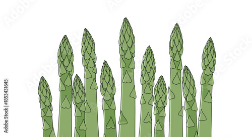 A simple and artistic line drawing of a bunch of fresh green asparagus spears, illustrated in a minimalist watercolor style.