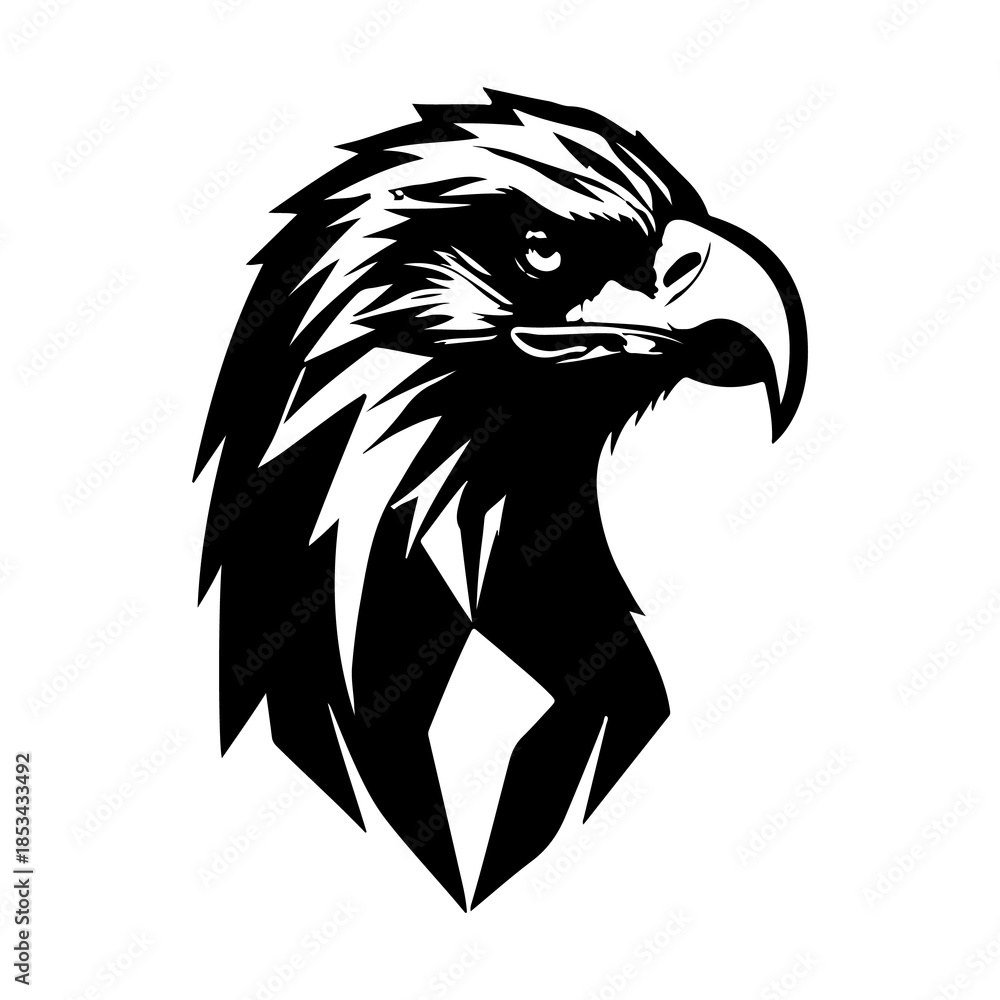 Fototapeta premium head of a eagle