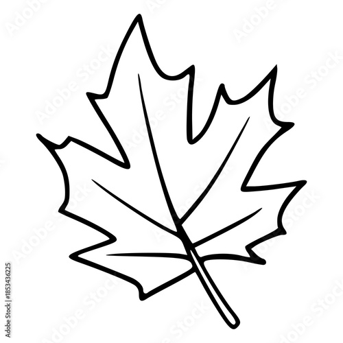 outline drawing of autumn maple tree leaf 
