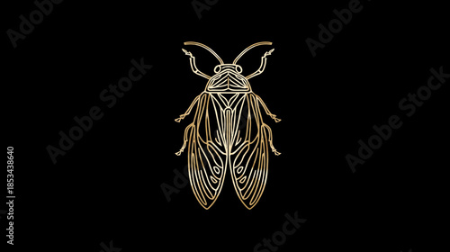 Elegant golden outline insect illustration on black background, intricate ornamental line art beetle design, luxury entomology graphic
