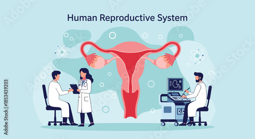 Medical illustration of the human reproductive system with doctors consulting and performing an ultrasound on a large uterus model.