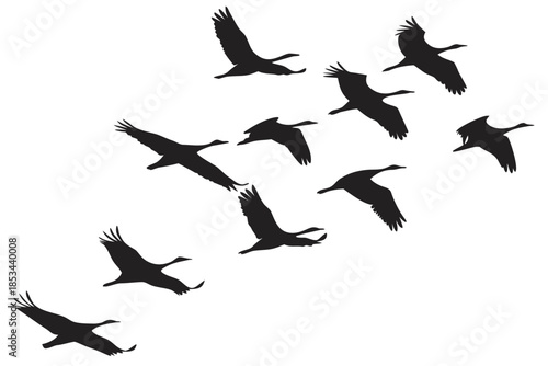 Bird flying flock bundle silhouette vector illustration isolated on white background