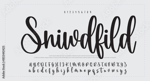 
Signature script lettering font