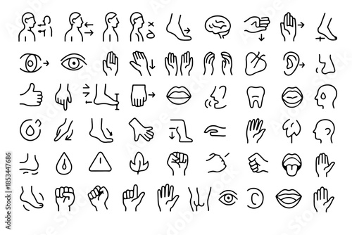 A set of various simple human body parts icons and illustrations. This comprehensive collection is perfect for educational resources, medical infographics, and design projects