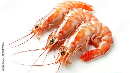 shrimp isolated on white