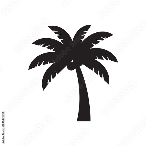 Silhouette of a Tropical Palm Tree on Transparent Background
