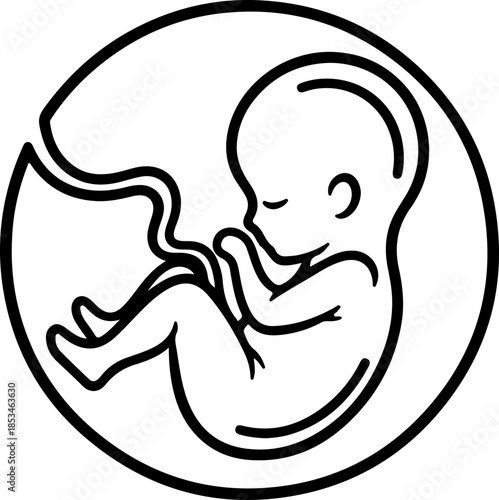Minimalist black and white line art depicting a human fetus curled inside the womb, representing new life, pregnancy, and fundamental human development