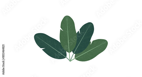 A bundle of lush green tropical leaves with a textured pattern and speckled details.