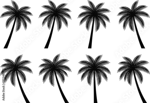 Black palm tree silhouettes vector set tropical summer plants isolated on white background illustration for beach landscape design commercial use