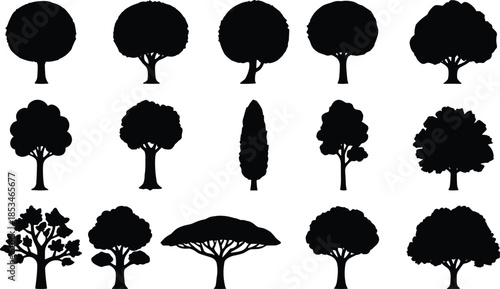 Black tree silhouettes vector set various forest shapes isolated on white background illustration for landscape nature design commercial use projects