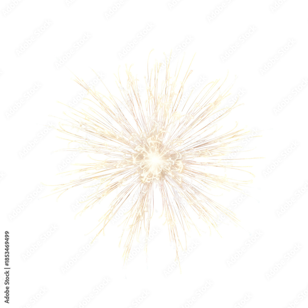 Obraz premium Delicate Beige Floral Bloom Centerpiece.