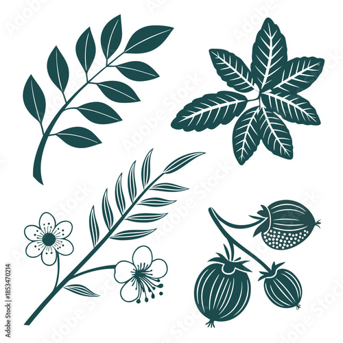 Botanical Icons Collection  Clean Flat Vector  Pur Vector Illustration