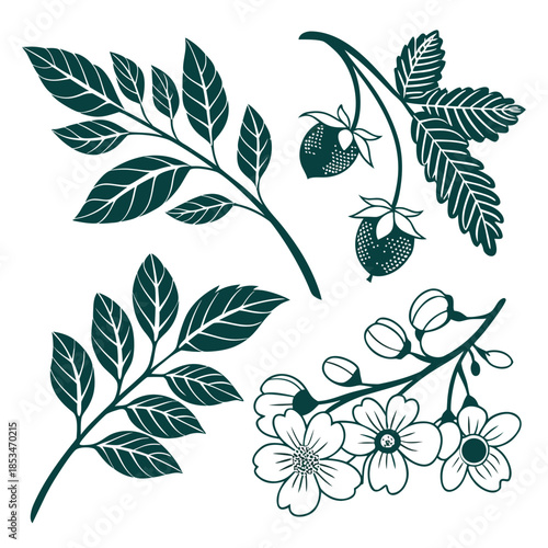 Botanical Icons Collection  Clean Flat Vector  Pur (3) Vector Illustration