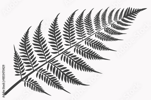 Fern Leaf Botanical Illustration  Flat Vector  Pur (3) Vector Illustration
