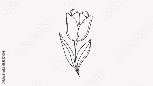A simple black and white line drawing of a single tulip flower with leaves on a plain background.