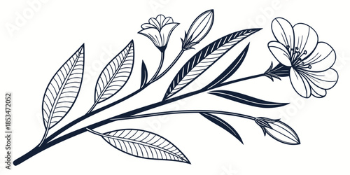 Elegant Botanical Artwork  Minimal Vector  Pure Wh (1) Vector Illustration