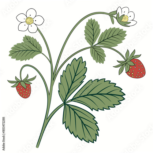 Botanical Eco Plant Illustration  Clean Vector  Pu (2) Vector Illustration