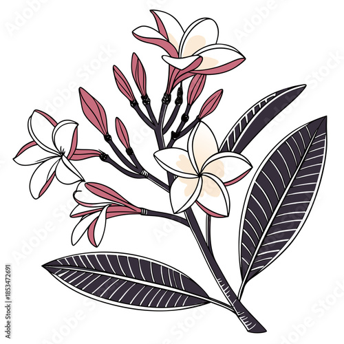 Tropical Flower Arrangement  Minimal Flat Vector   Vector Illustration