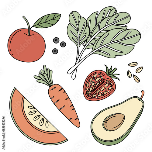 Clean Food Flat Lay Composition  Flat Vector  Isol (2) Vector Illustration