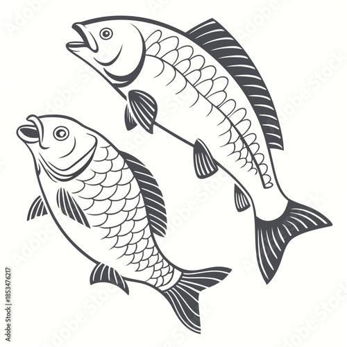 Fresh Fish Top View  Minimal Vector  Isolated  (2) Vector Illustration