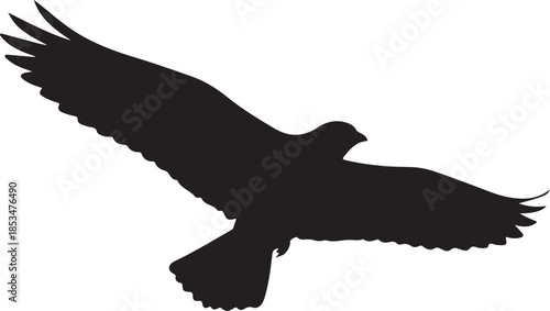 silhouette of eagle Eagle Silhouette and Colorful Kites Illustration

Freedom Concept Bird and Kites Vector Art