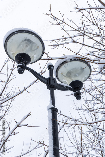 Street Lamp Among Snow Covered Trees in Winter