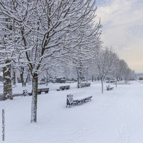 Snowy Park Benches After Heavy Snowfall
