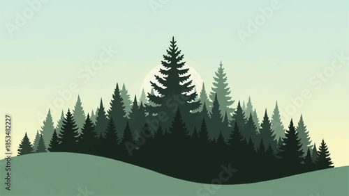 Dense pine forest silhouette on rolling hillside.