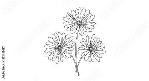 Minimalist continuous line drawing of a small bouquet with three blooming flowers on slender stems, symbolizing simple beauty and nature.