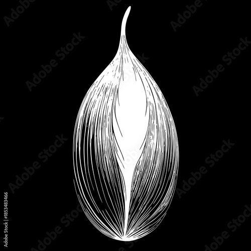 vector illustration of a drop of water